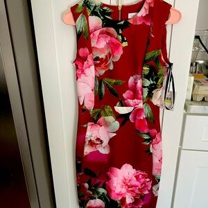 NWT Calvin Klein Dress